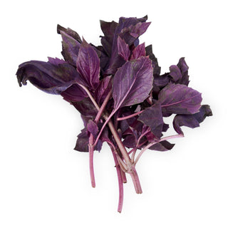 Live Well Opal Basil Fresh Herbs
