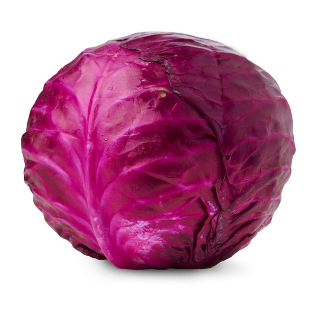 Givvo Red Cabbage